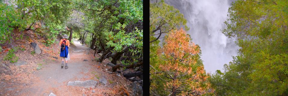 Yosemite Falls